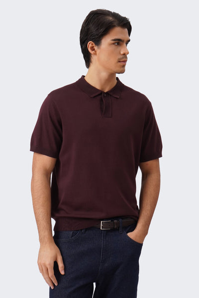 Men's Knit Polo with Ribbed Collar Detail