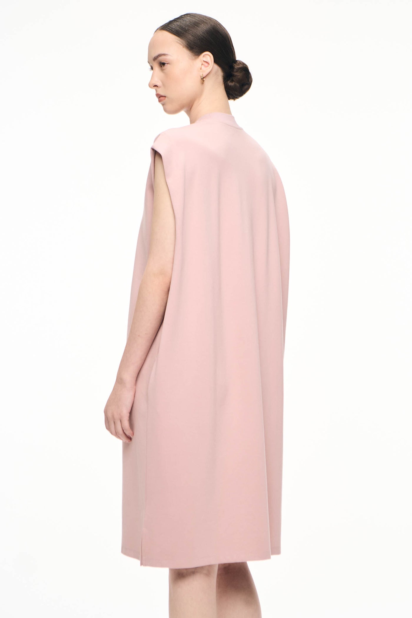 988334-Pale Rose (1).jpg
