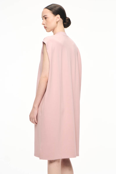 988334-Pale Rose (1).jpg