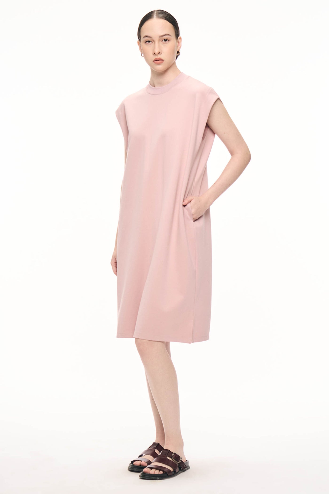 988334-Pale Rose (3).jpg