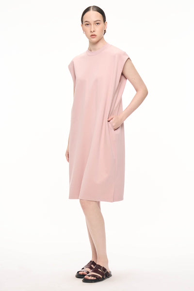 988334-Pale Rose (3).jpg