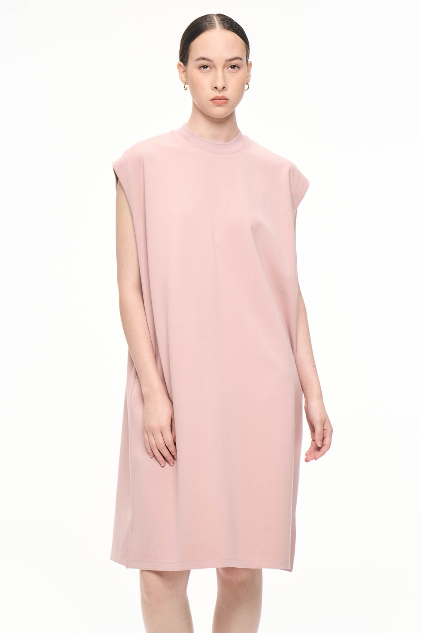 988334-Pale Rose (5).jpg
