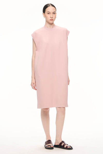 988334-Pale Rose (6).jpg