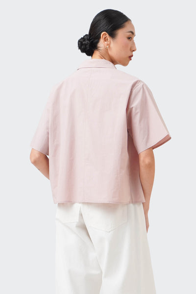 988473-Pale Rose (1).jpg