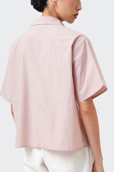 988473-Pale Rose (2).jpg