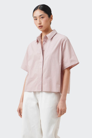 988473-Pale Rose (6).jpg