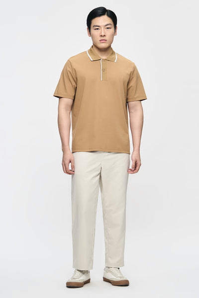 989998-Camel (1).jpg