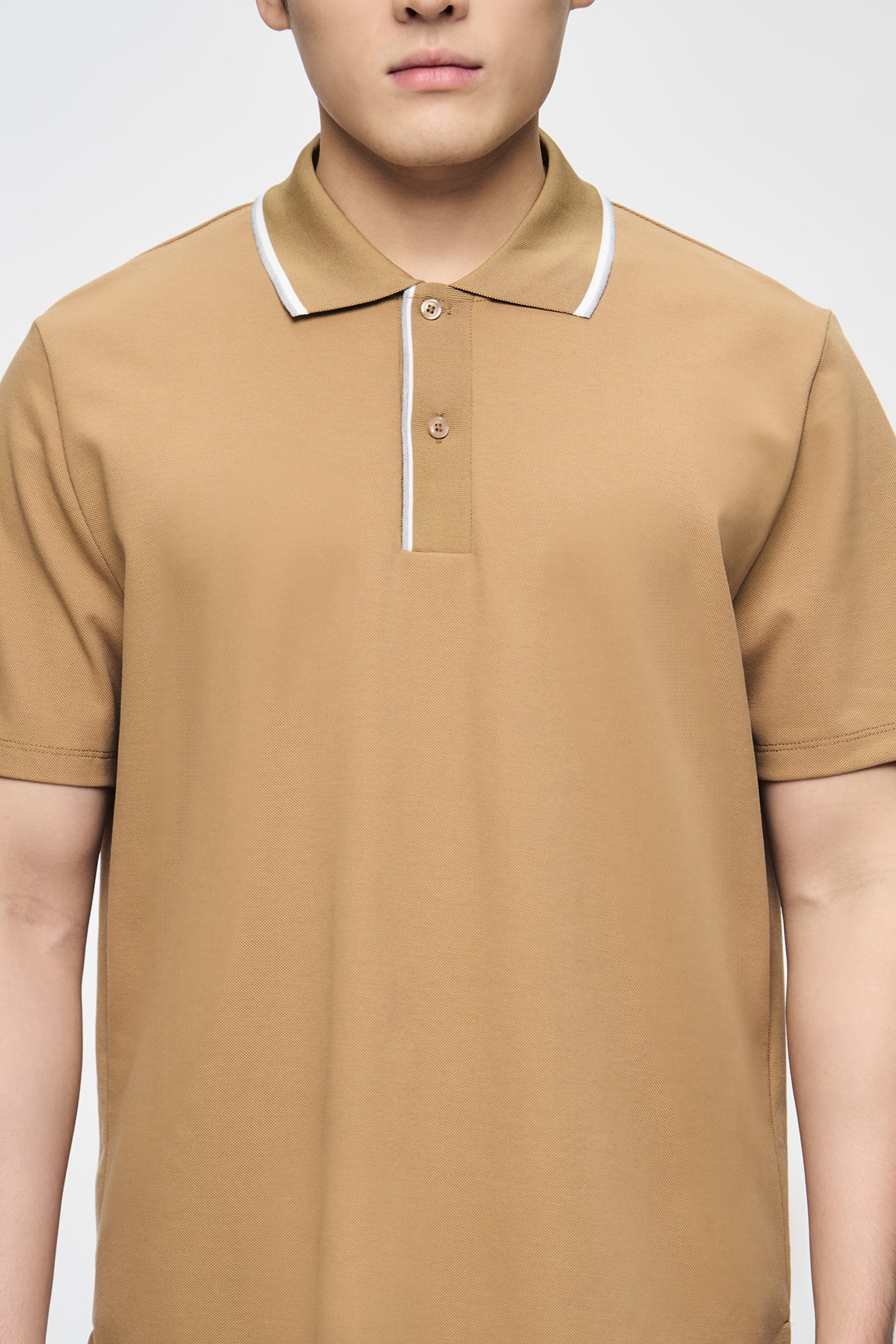 989998-Camel (5).jpg