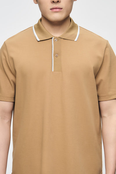 989998-Camel (5).jpg