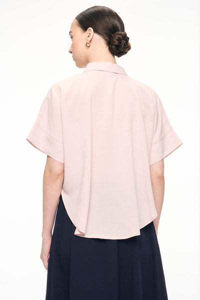 990345-Pale Rose (2).jpg