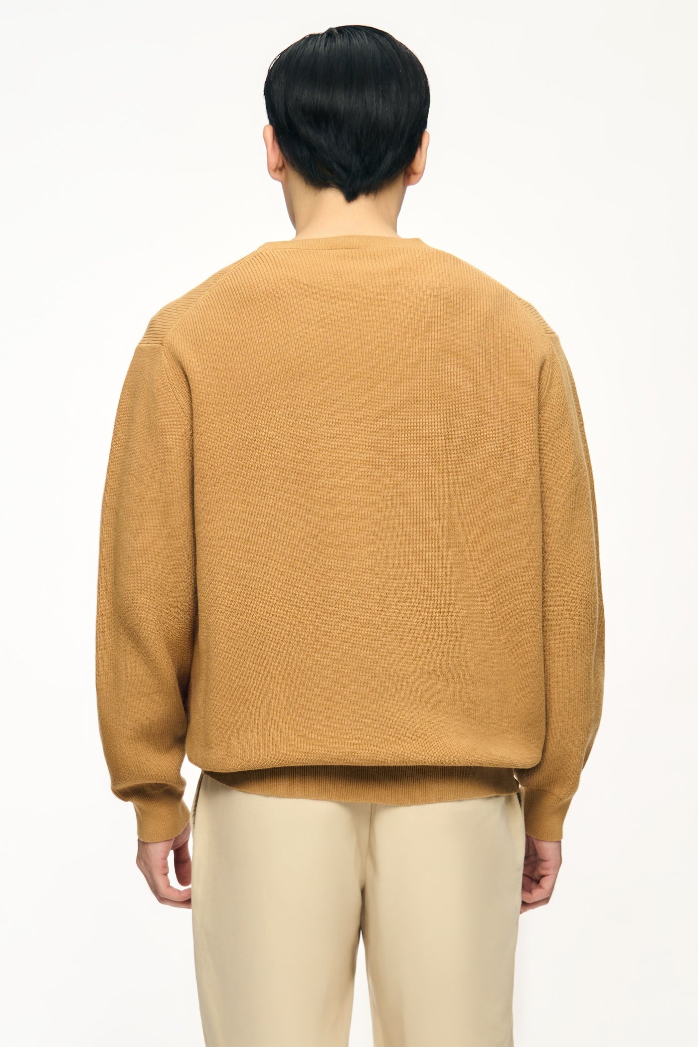 990534-Camel (2).jpg