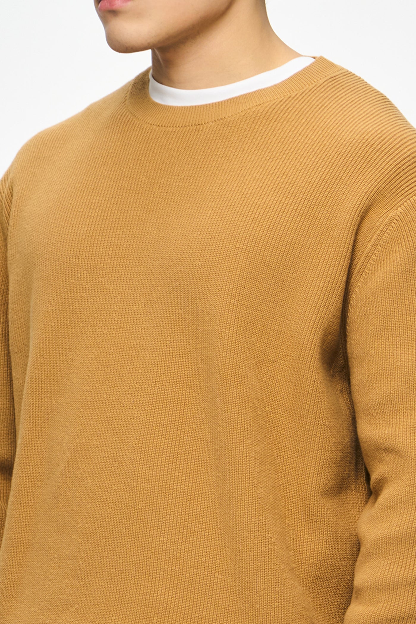 990534-Camel (3).jpg