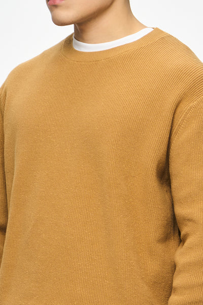 990534-Camel (3).jpg