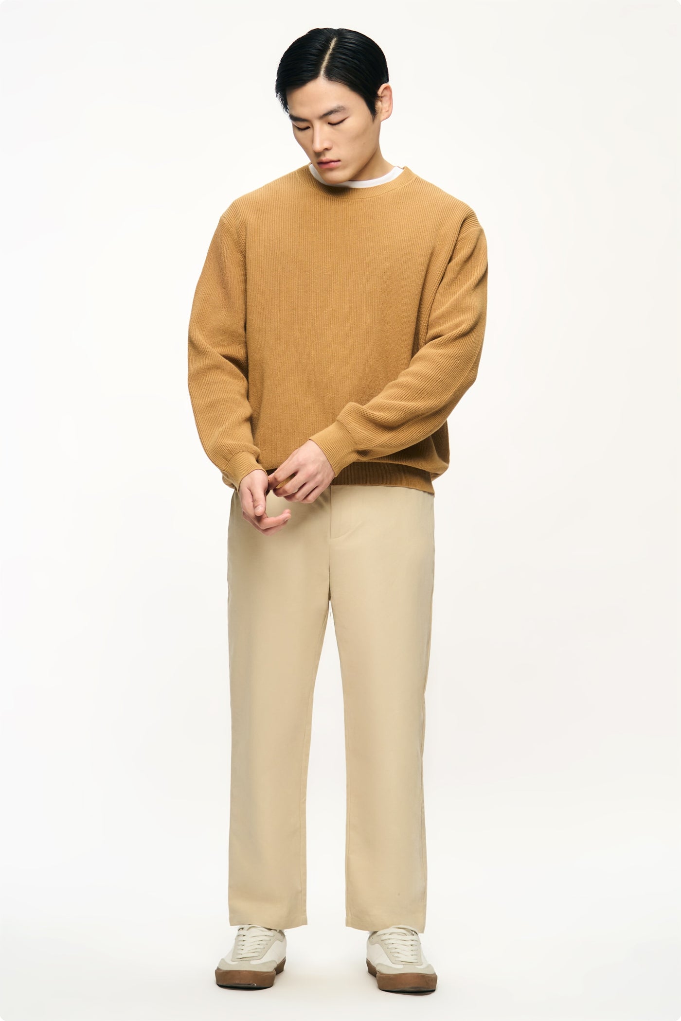 990534-Camel (4).jpg