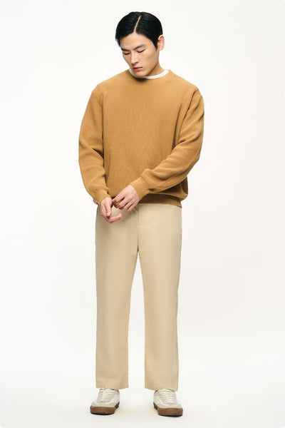 990534-Camel (4).jpg