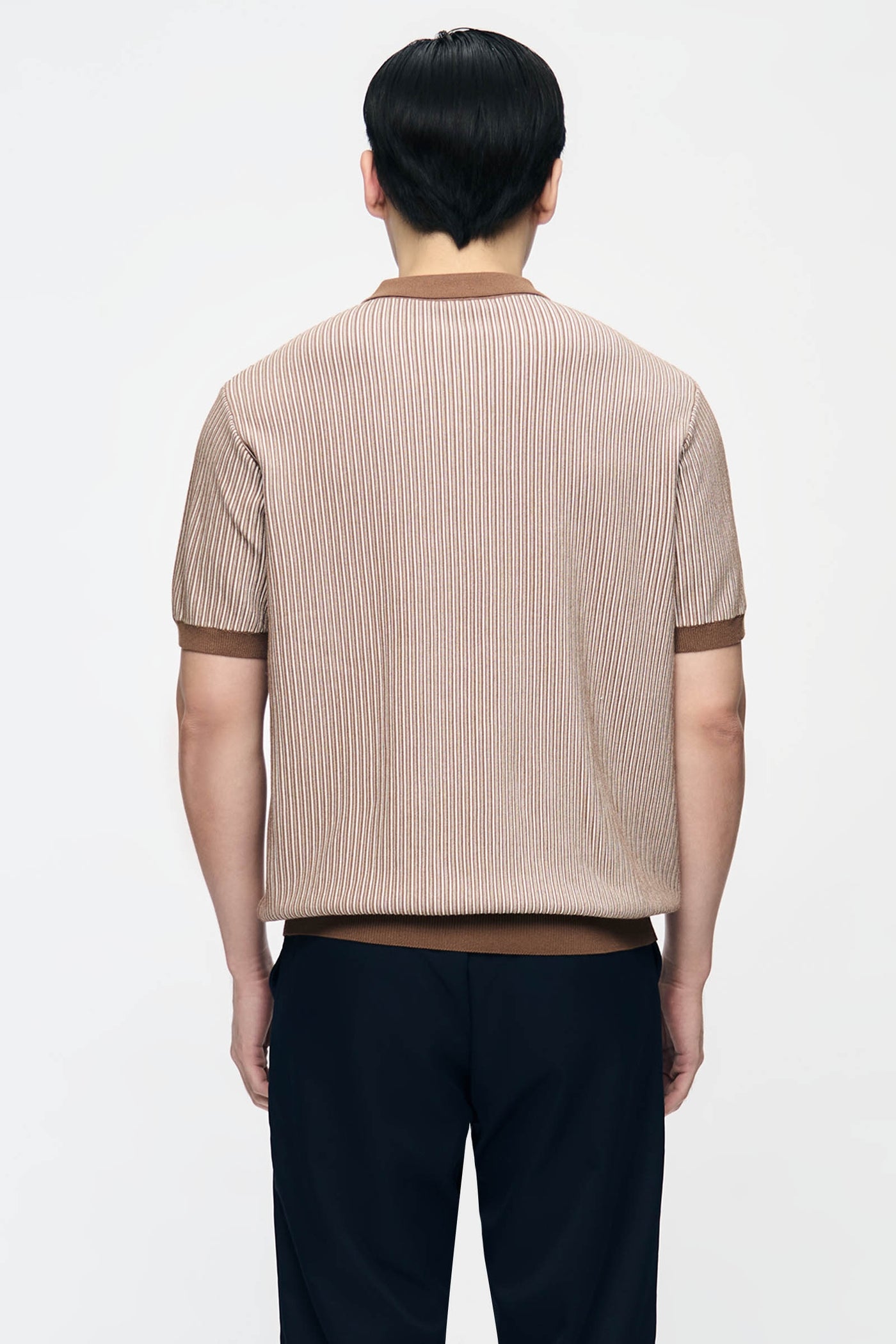 990574-Camel (2).jpg