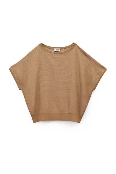 991290-Camel (1).jpg