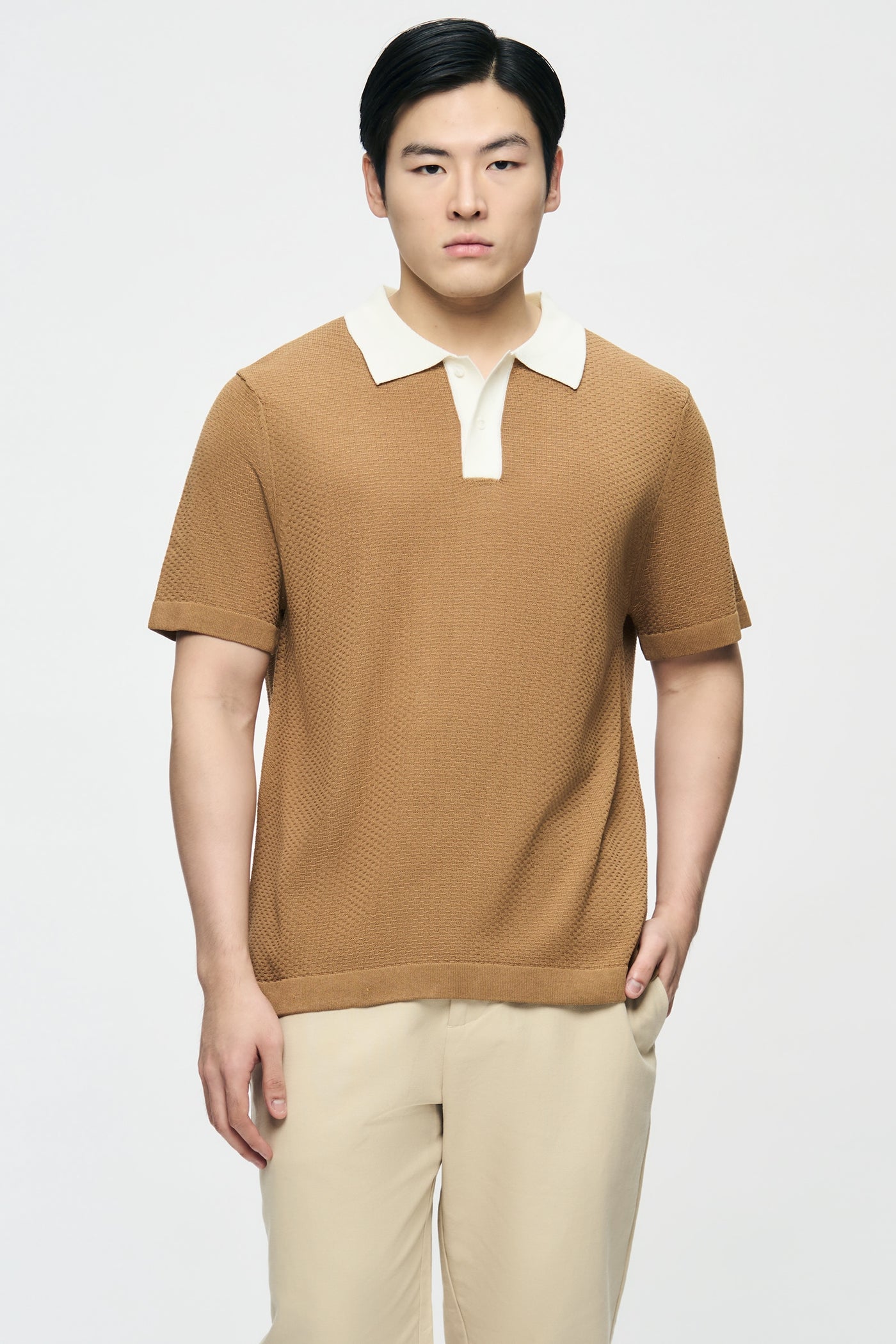 991441-Camel (1).jpg