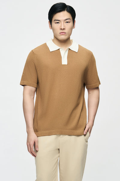 991441-Camel (1).jpg