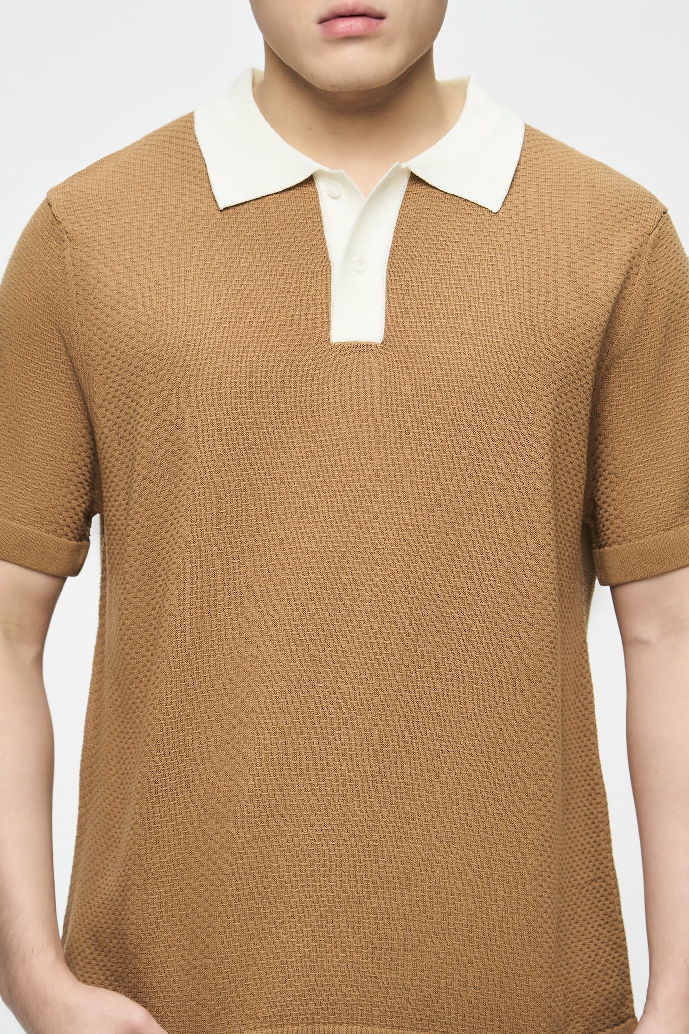 991441-Camel (2).jpg