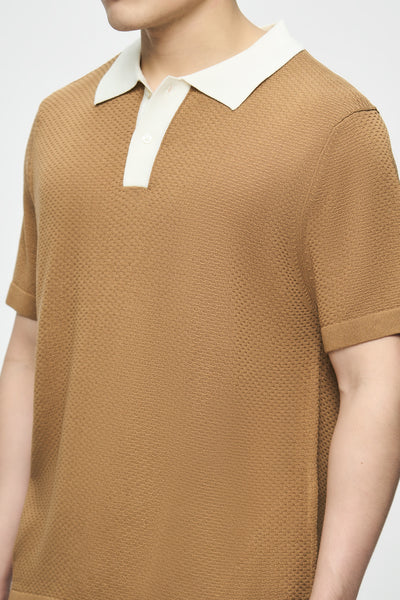 991441-Camel (3).jpg