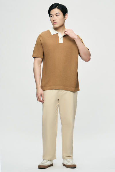 991441-Camel (4).jpg