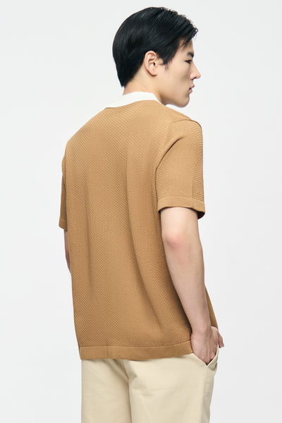 991441-Camel (6).jpg