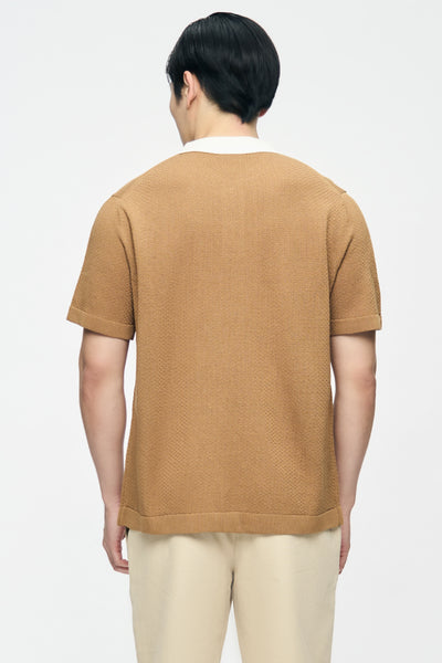 991441-Camel (7).jpg